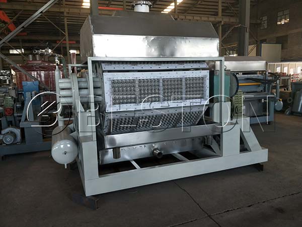 Egg Tray Machine in China