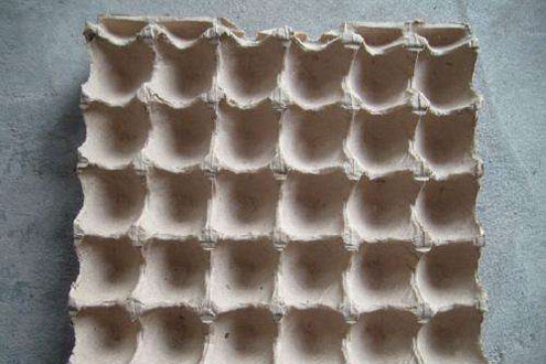 Paper Egg Tray Made by Beston Egg Tray Making Machine in Pakistan