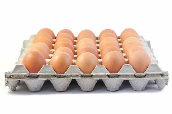 Make Egg Trays Manually